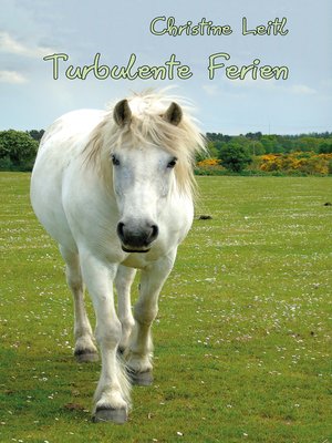 cover image of Partnerschaft lernen
